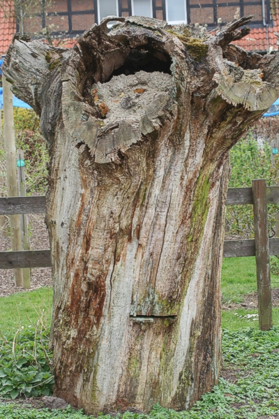 Klotzbeute Klotzbeute